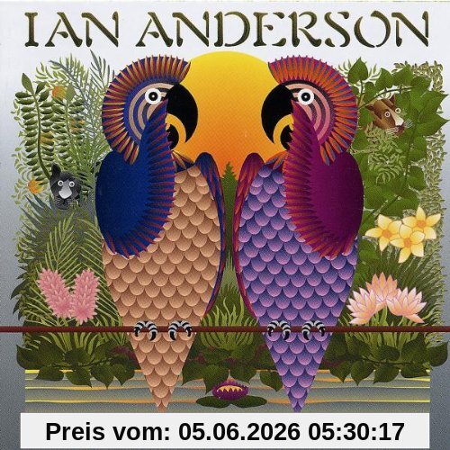 Ian Anderson The Secret Language Of Birds