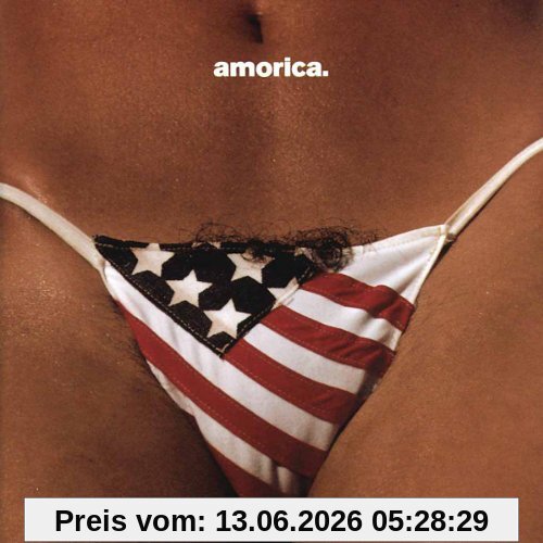 the Black Crowes Amorica.