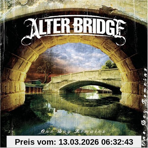 Alter Bridge One Day Remains