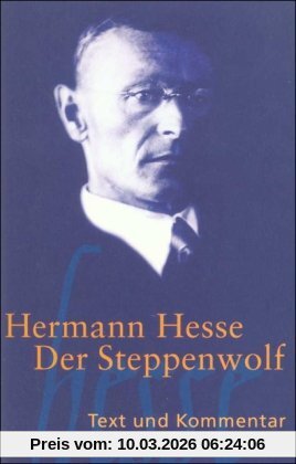 Hermann Hesse Der Steppenwolf, Text Und Kommentar (Suhrkamp BasisBibliothek)