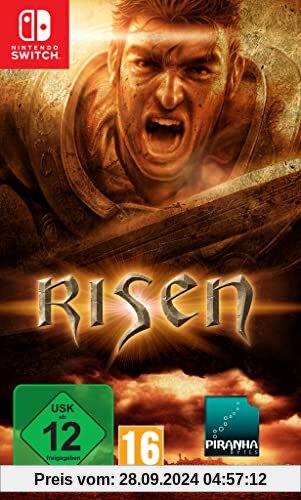 Risen - Nintendo Switch