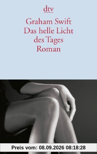 Das helle Licht des Tages: Roman