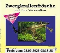 Zwergkrallenfrösche und ihre Verwandten