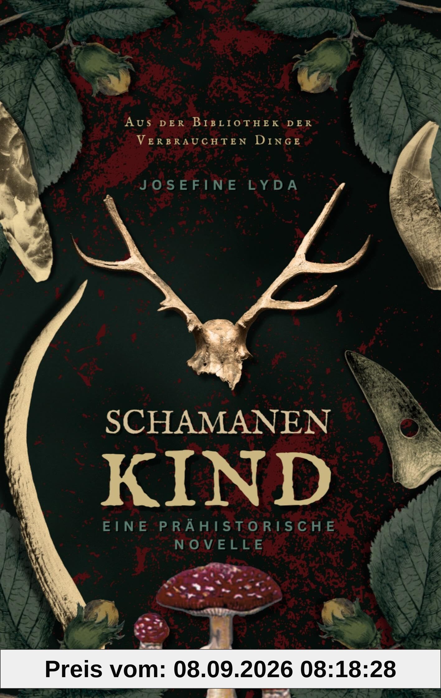 Schamanenkind: eine prähistorische Novelle