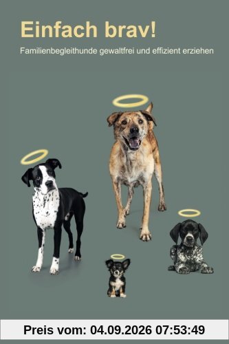 Einfach brav!: Hundetraining gewaltfrei und effizient