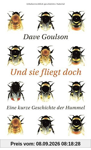 Und sie fliegt doch: Eine kurze Geschichte der Hummel