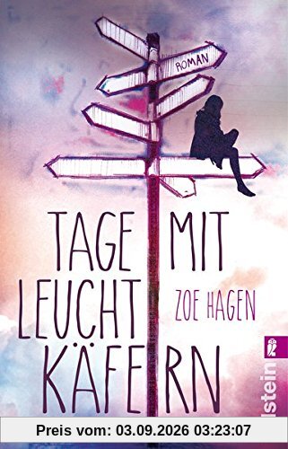 Tage mit Leuchtkäfern: Roman