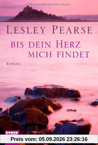 Bis dein Herz mich findet: Roman