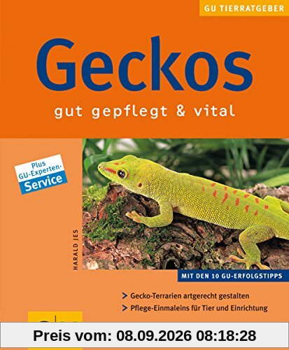 Geckos gut gepflegt & vital