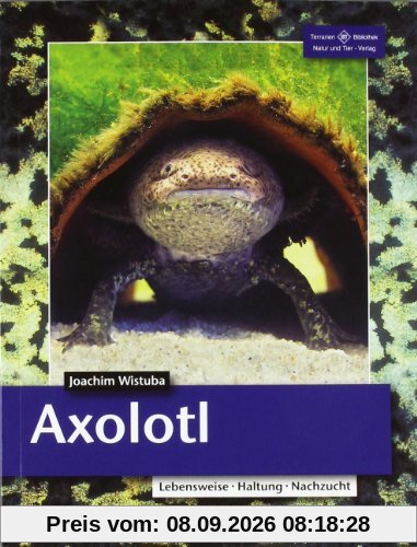 Axolotl: Lebensweise, Haltung, Nachzucht