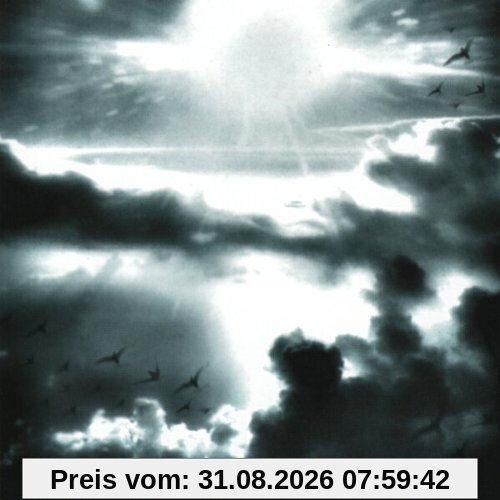 Expanding Horizon