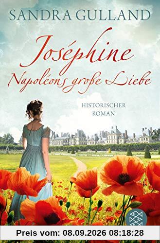 Joséphine - Napoléons große Liebe: Roman (Josephine)