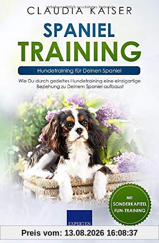 Spaniel Training: Hundetraining für Deinen Spaniel