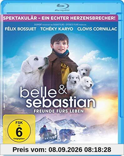Belle & Sebastian - Freunde fürs Leben [Blu-ray]