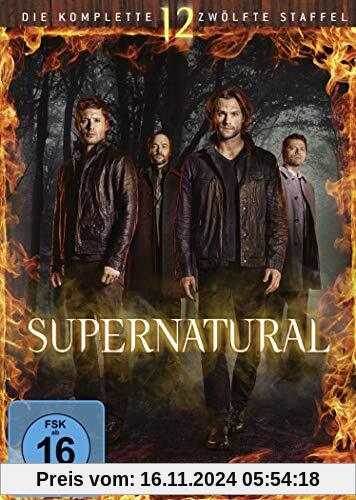 Supernatural - Die komplette zwölfte Staffel [6 DVDs]