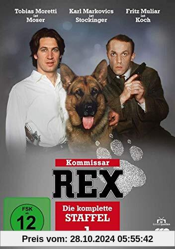 Kommissar Rex - Die komplette 1. Staffel (3 DVDs) (Fernsehjuwelen)