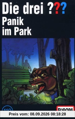 Folge 110/Panik im Park [Musikkassette]