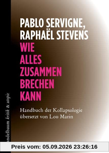 Wie alles zusammenbrechen kann: Handbuch der Kollapsologie (kritik & utopie)