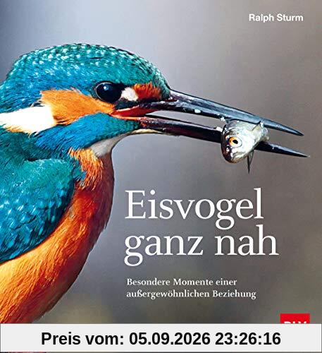 Eisvogel ganz nah: Besondere Momente einer außergewöhnlichen Beziehung