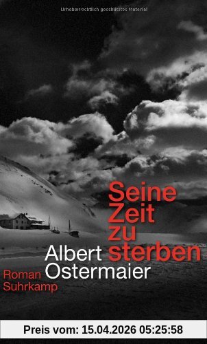 Seine Zeit zu sterben: Roman