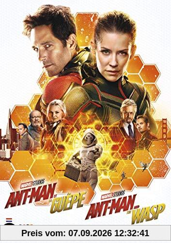 Ant-man 2 : ant-man et la guêpe [FR Import]