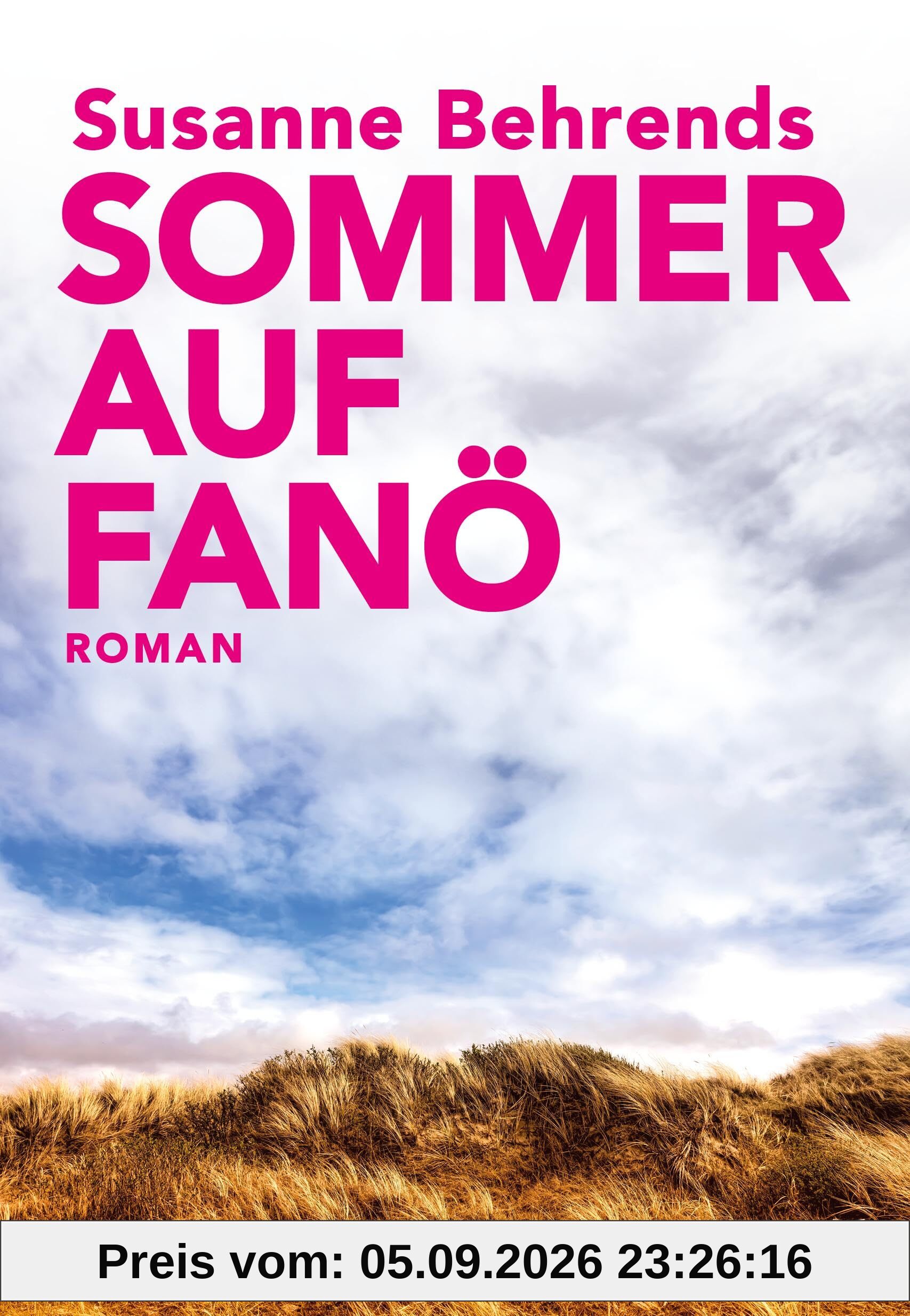 Sommer auf Fanö: Roman