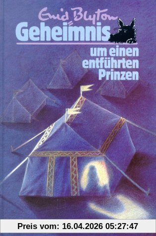 Geheimnis . . ., Bd.9, Geheimnis um einen entführten Prinzen