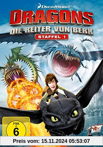 Dragons - Die Reiter von Berk - Staffel 1 / Vol. 1-4 [4 DVDs]