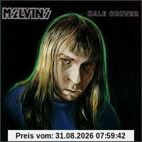 Dale Crover