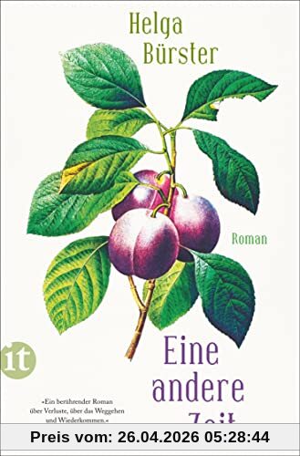 Eine andere Zeit: Roman | Die berührende Geschichte zweier Schwestern nach der Wende (insel taschenbuch)