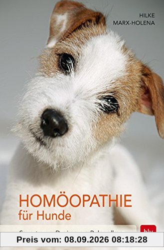 Homöopathie für Hunde: Symptome | Dosierung | Behandlung