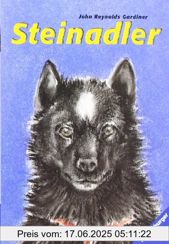 Binding : Taschenbuch, Edition : 15, Label : Ravensburger Buchverlag, Publisher : Ravensburger Buchverlag, NumberOfItems : 1, medium : Taschenbuch, numberOfPages : 125, publicationDate : 1996-02-01, authors : John Reynolds Gardiner, translators : Almut Atkins, languages : german, ISBN : 3473520268