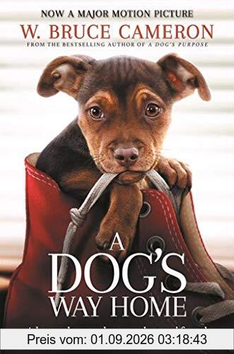 A Dog's Way Home: The Heartwarming Story of the Special Bond Between Man and Dog