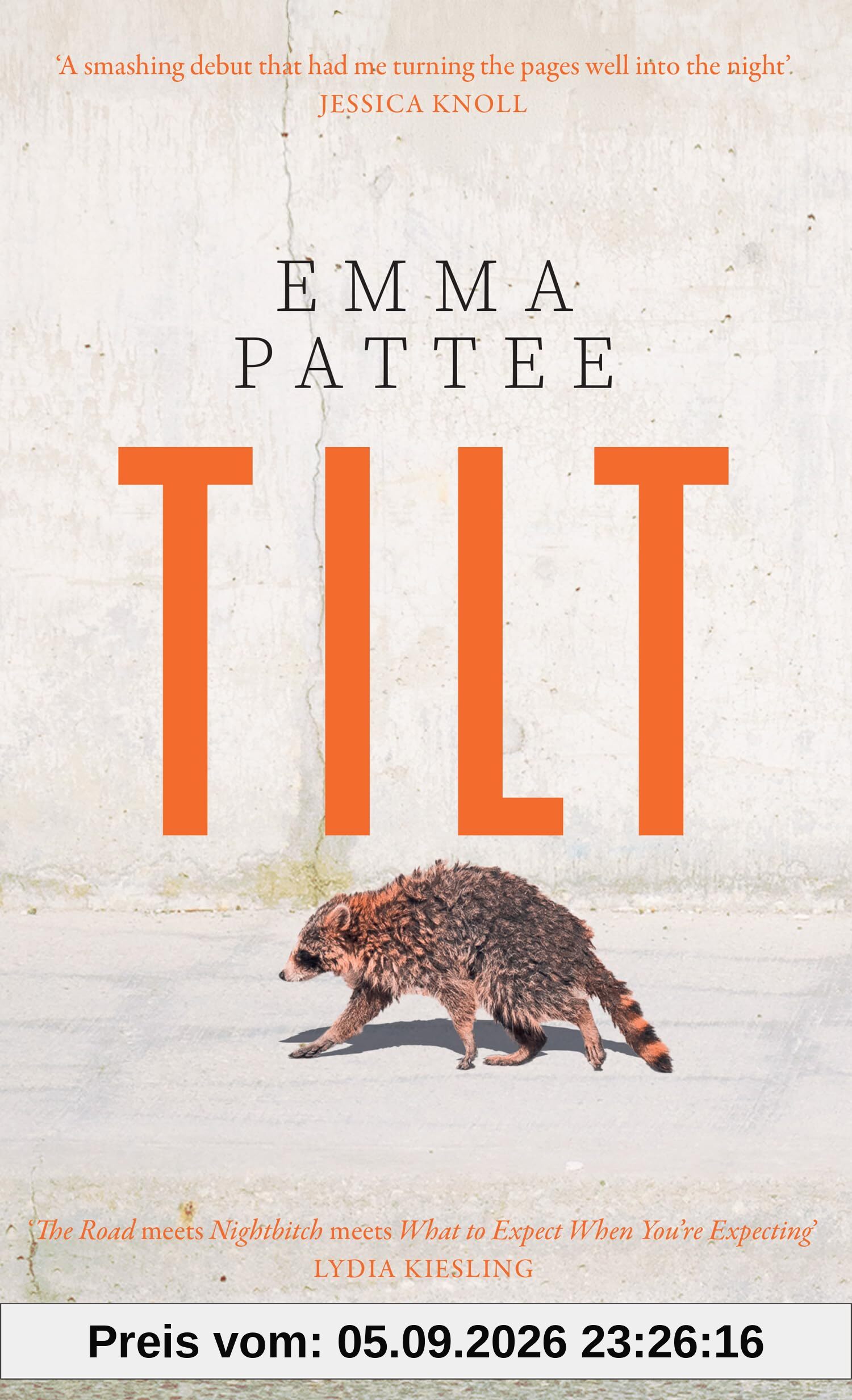 Tilt: A thrilling literary debut about how we confront disaster