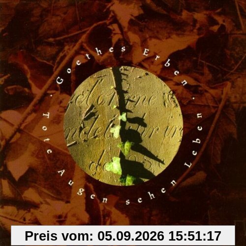 Tote Augen Sehen Leben