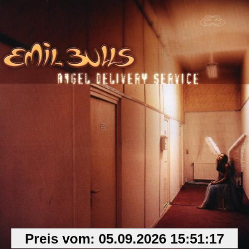 Angel Delivery Service