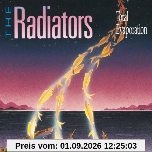 Total Evaporation