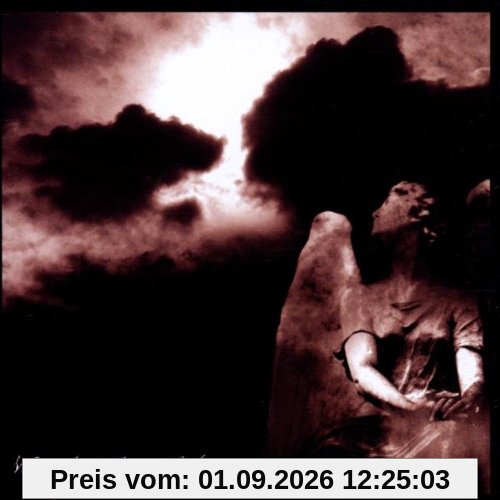 Where Angels Dare Not Tread