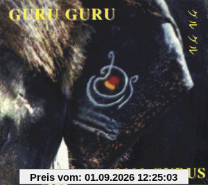 2000 Gurus