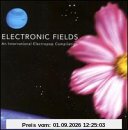 Electronic Fields