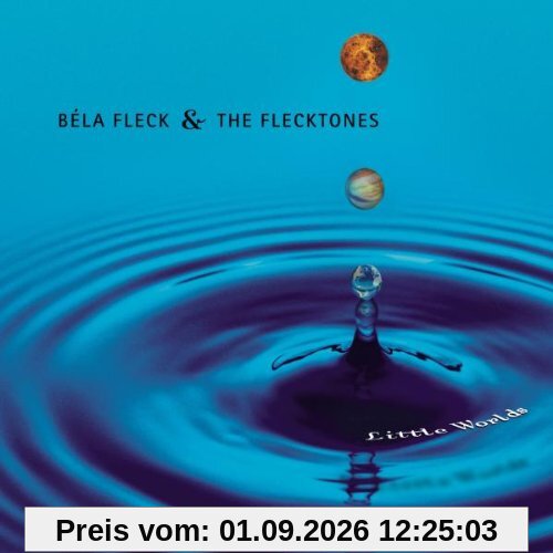 Little Worlds