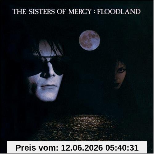 Sisters of Mercy Floodland