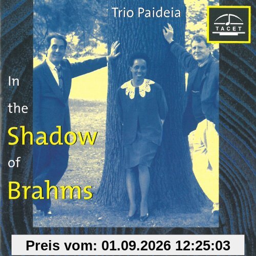 Im Schatten von Brahms