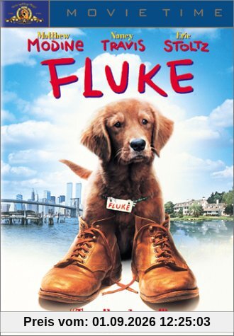 Fluke
