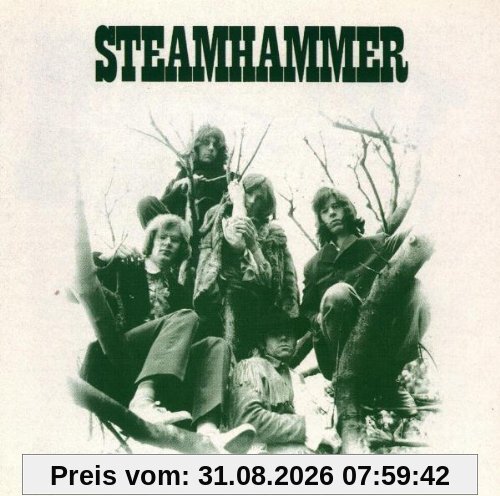 Steamhammer
