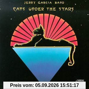Cats Under the Stars