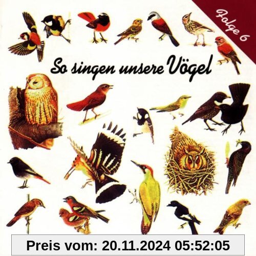 So Singen Unsere Vögel 6