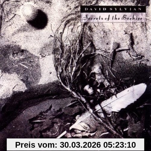 David Sylvian Secrets Of The Beehive