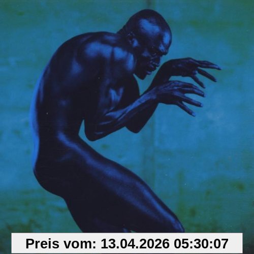 Seal Human Being