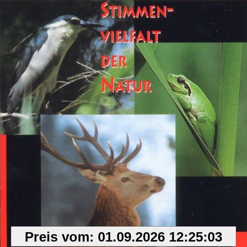 Stimmenvielfalt der Natur